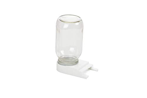 Little Giant® Beekeeping Feeder Kit | Beekeeping Supplies | 2 Gallon Bee Feeder Bucket | Beehive Entrance Feeder | Bee Pro Pollen Substitute | Bee Feeder Kit for Hives