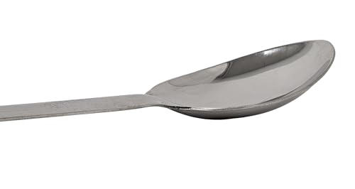 Stainless Steel Spoon - 24"