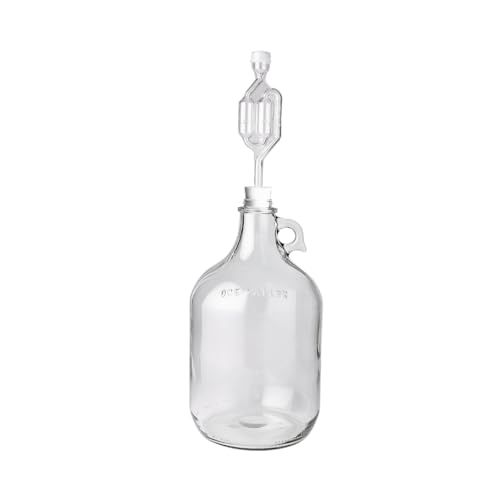 FastRack 1 Gallon Glass Jug with #6 Rubber Bungs & Twin Bubble Airlock – Fermentation Jars for Home Brewing, Clear Glass Fermenter Containers for Liquid Fermentation - color: Multicolor, size: 1 Count (Pack of 1)