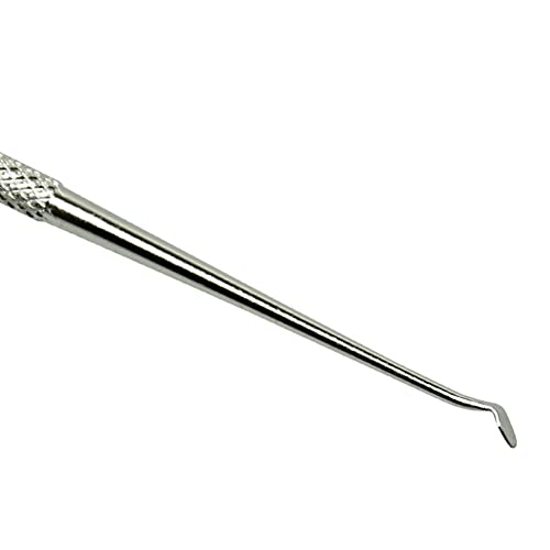 1 Piece Beekeeping Grafting Tool Double Head Beekeeping Grafting Needle Beekeeping Moving Needle Tool Stainless Steel Queen Moving Needle Queen Bee Grafting Tool, Silver