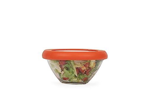 Food Huggers Replacement Lids for Glass Storage Containers | Silicone & Glass Lids that Don’t Crack | Fits Most Round Container Brands & Bowls | 100% Plastic Free (1 Lid (Medium), Terracotta) - color: Terracotta, size: 1 Lid (Medium)