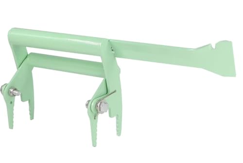 Bee Hive Frame Grip Stainless Steel Bee Frame Clip Beekeeping Clamp Tools Nests Box Holder Capture Beehive Equipment Queen Rearing System Tool for Beekeeeper(Green) - color: Green