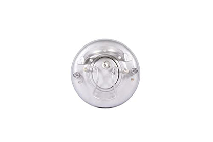 Two Pack of New AMCYL 5 Gallon Ball Lock Kegs with Single Handle