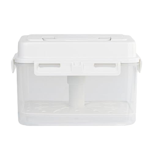 Kimchi Fermentation Container with Press Plate and Airtight Lid, 4L PP Leakproof Pickle Jar for Sauerkraut and Refrigerator Storage