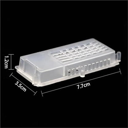 Queen Bee Cage 30Pcs Queen Bee Transport Cages Beekeeping Equipment House Beehive White Transparent Cage for Beekeeping Supplies
