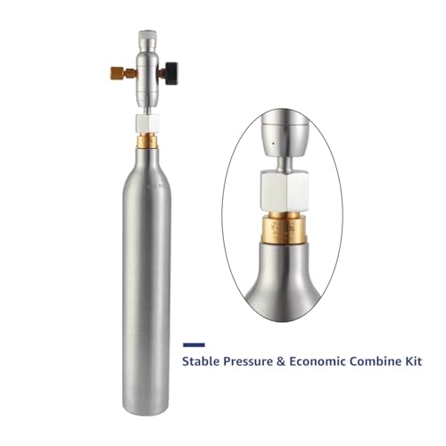 10L Cornelius Keg Kit, 2.5 Gallon 304 Stainless Steel Beer Keg Beverage Container with Beer Tap, Mini CO2 Charger Regulator and 0.6L Empty Soda Bottle for Homebrewing, Carbonation & Fermentation