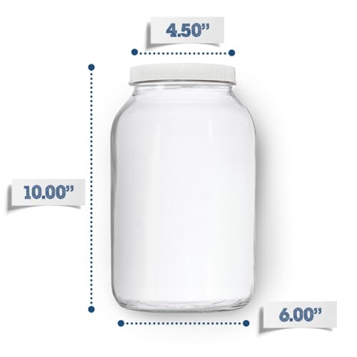 Fermentaholics One Gallon Glass Kombucha Jar with Breathable Muslin Cloth Cover, and Rubber band | Perfect SCOBY Home For Anyone Looking To Brew Their Own Kombucha | American-Made Glass Jar (1)