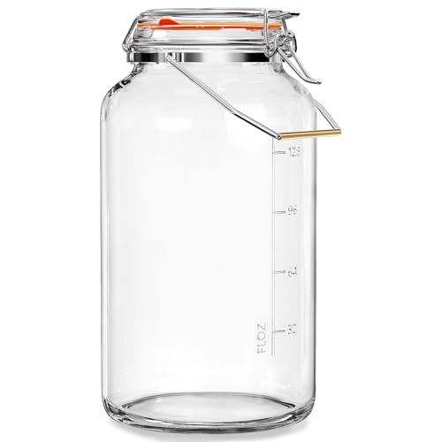 Qianfenie 1.5 Gallon Glass Jar with Airtight Lid Wide Mouth, Gallon Storage Jar with Stainless Steel Handle - Large Glass Food Storage Container with Lid for Flour, Sugar, and Dog Treats