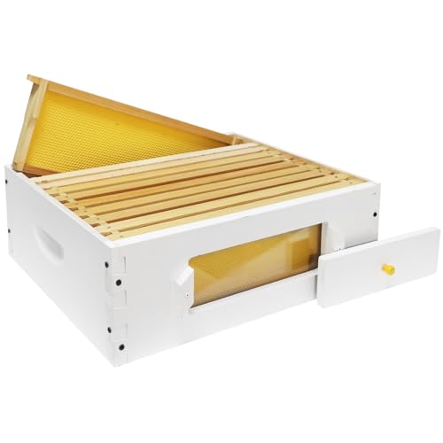 BeeTech 10 Frame Beehive Middle Box Super Bee Box Painted for Sale Bee Hives with Windows - size: Medium Box