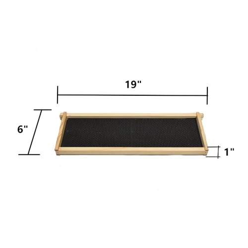 BEE-GL-1SK-TK3 GL-1SK-TK3 Super Box Kit Wood 10 Plastic Foundations, Metal Queen Excluder/Frame Spacer Included, (GLHSBOX), Medium, Multicolor