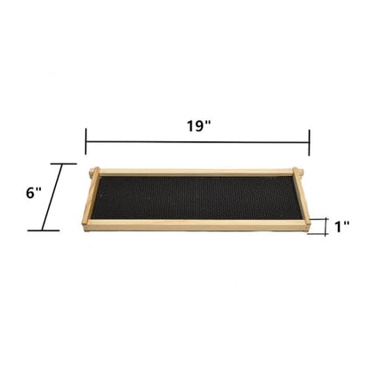 BEE-GL-1SK-TK3 GL-1SK-TK3 Super Box Kit Wood 10 Plastic Foundations, Metal Queen Excluder/Frame Spacer Included, (GLHSBOX), Medium, Multicolor