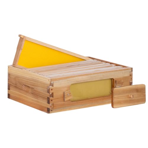 Honey Lake 8 Frame Beehive Medium Super Box with Window, Langstroth Bee Hive Box Kit Dipped in Beeswax Include Wooden Frames & Waxed Foundations, Bee Boxes for Beekeeping Supplement (Unassembled) - size: 8-Frame