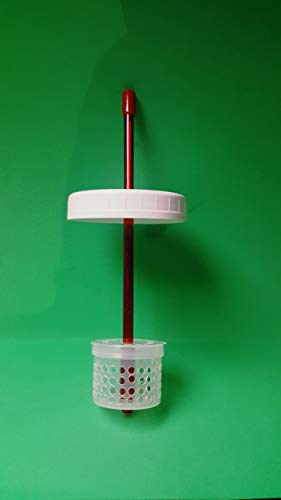 Kefir Fermenter: Set for use with Jar (Wide Mouth) You Already Have