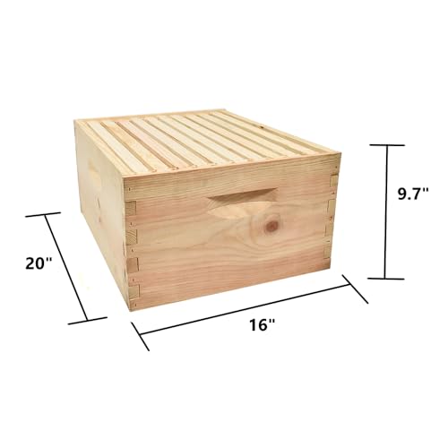Goodland Bee Supply GL-1B-SPCR Beekeeping Beehive Brood Kit Includes Frames, Foundations, Brood Box and Spacer