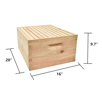 Goodland Bee Supply GL-1B-SPCR Beekeeping Beehive Brood Kit Includes Frames, Foundations, Brood Box and Spacer
