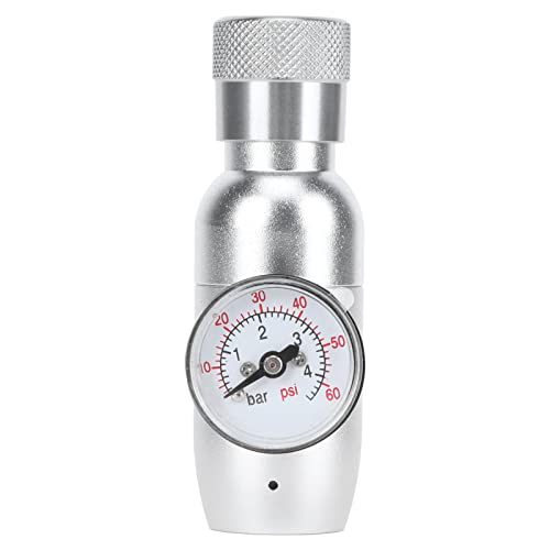 Fdit Portable Beer Dispenser Tap Kit with CO2 Mini Regulator for 64oz 128oz Growlers Stainless Steel Brewing Equipment Homebrew Kegging Accessories