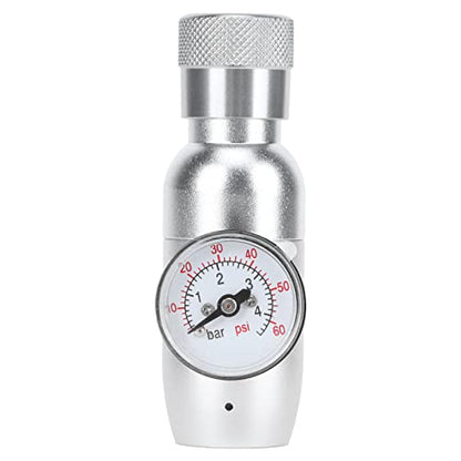 Fdit Portable Beer Dispenser Tap Kit with CO2 Mini Regulator for 64oz 128oz Growlers Stainless Steel Brewing Equipment Homebrew Kegging Accessories