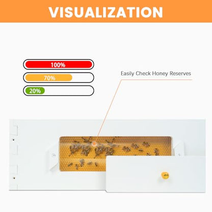 BeeTech 8 Frame Langstroth Beehive Medium Super Box Hand Painted Not Includes Wooden Frames & Waxed Foundations (Unassembled)