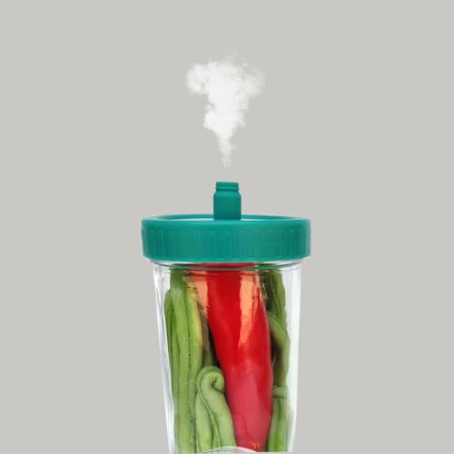 1Pack Fermentation Weight +2Waterless Airlock lids - for Pickles, Fermenting Sauerkraut, Kimchi in Wide Mouth Mason Jars (1)