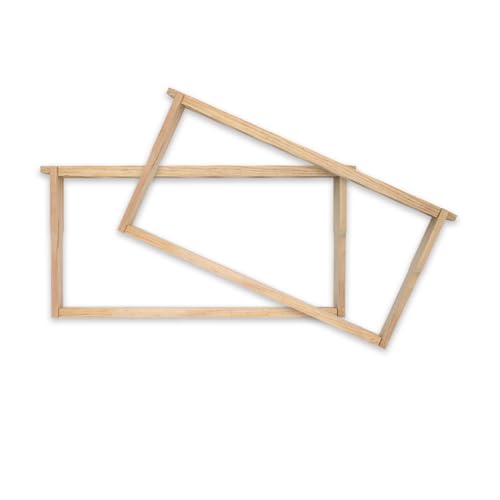 Deep Frames Langstroth Size Deep Brood Beehive Frames with 65 Spikes Suitable for Beekeeping (10 Pack) - size: 10 Pack