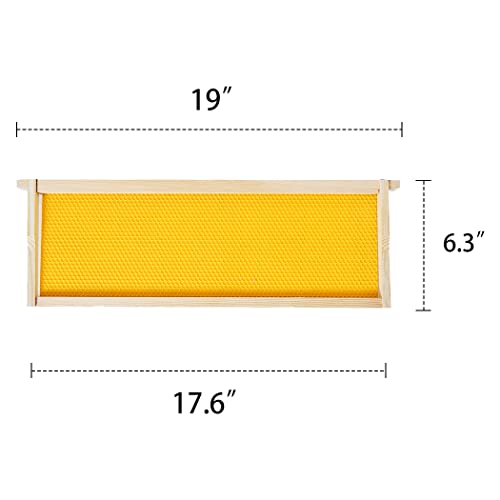 MayBee 20 Pack Honey Bee Frames with 100% Beeswax Coated Food Grade Foundation Sheets, Medium Super Beehive Frame for Beekeeping, 6-1/4-Inch (Yellow) - color: 20 Super Frame yellow