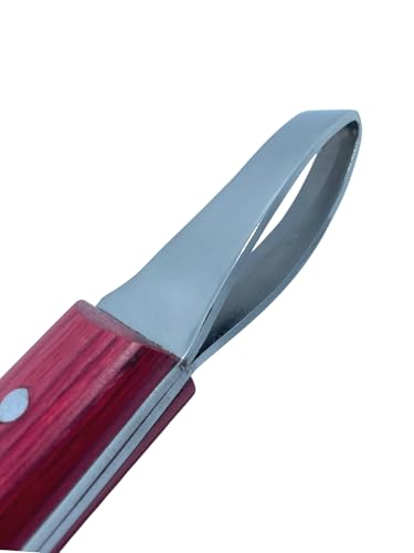 Loop Blade Hoof Knife, J2 420 Magnetic Stainless Steel, Right-Hand, Ergonomic Red Handle, Professional Farrier Trimming Tool
