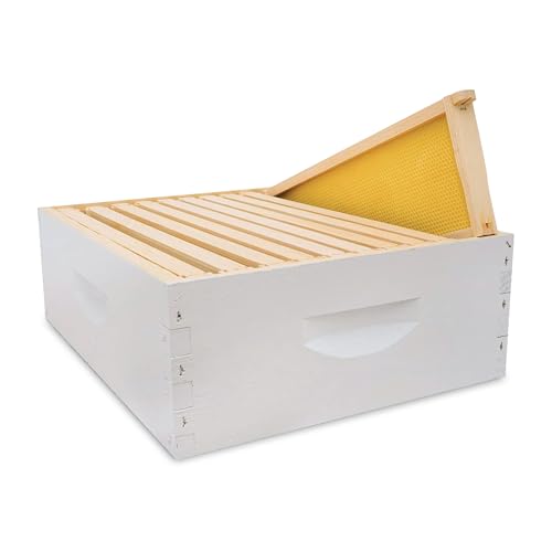 Mann Lake 10-Frame Medium Super Kit, Fully Assembled 6⅝" Super Box with 10 Durable Frames & Beeswax-Coated Plastic Foundation for Honey Storage, Beekeeping and Hive Expansion, Made in USA, Painted - color: Painted Honey Super Hive Kit, size: Painted Wood