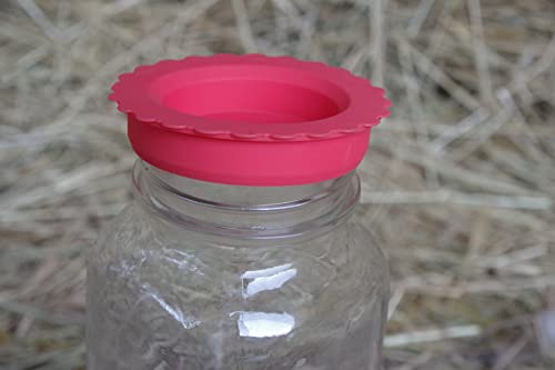 Masun Silicone mason jar lids Made to fit both Wide and Regular Mouth mason jar. (Red, Blue 8 Pack) - color: Red, Blue 8 Pack