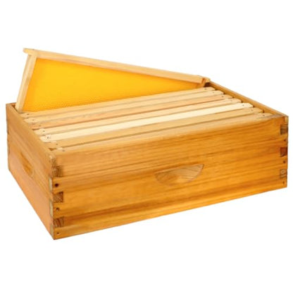 8 Frame Bee Hive Box, Langstroth Medium Super Bee Box Dipped in 100% Beeswax Include Beehive Frames and Waxed Foundation Sheets (Unassembled)