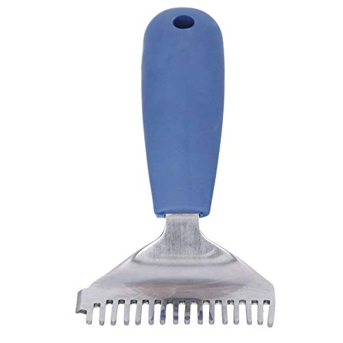 Zerodis 16 Tin Stainless Steel Uncapping Fork Honey Scraper Honey Fork Capping Scratcher with Plastic Handle and Hole for Beekeeping Tool and Harvest