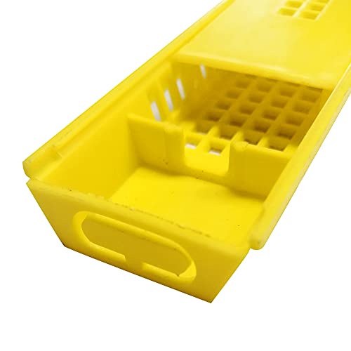Plastic Queen Bee Cages 12PCS Transporting Catcher Beekeeping Supplies Rearing Cup Kit Transporting Catcher Insectary Box Beekeeper Equipment Tool
