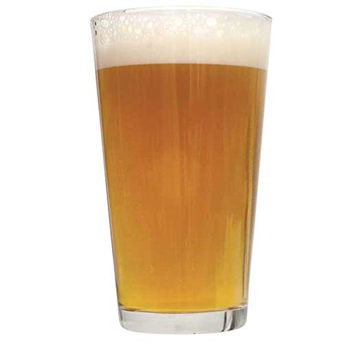 Northern Brewer - 2-Pack 1 Gallon Honey Beers Homebrew Recipe Kits - color: Honey Beers