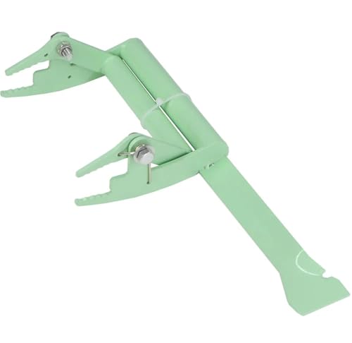 Bee Hive Frame Grip Stainless Steel Bee Frame Clip Beekeeping Clamp Tools Nests Box Holder Capture Beehive Equipment Queen Rearing System Tool for Beekeeeper(Green) - color: Green