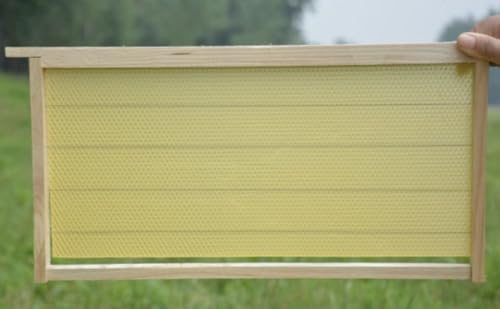 Bee Hive Langstroth Frames DEEP size 100% Bee Wax Foundation with Wire- 20 PACK