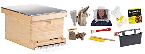 Little Giant® 10-Frame Deluxe Beginner Hive Kit | Premium Beekeeping Starter Set for Beginners | Made in USA