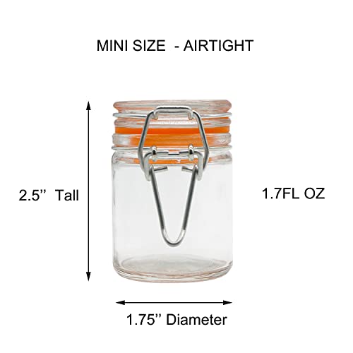 1.7 oz Mini Glass Spice Bottles, 24 Pack Small Glass Jars with Airtight Lid and Leak Proof Rubber Gasket, Empty Spice Containers with Labels for Home and Kitchen