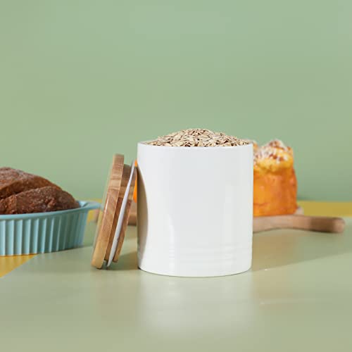 LEETOYI Ceramic Food Storage Jar with Seal Lid, Serving for Ground Coffee, Tea, Sugar, Salt and More - 31 Oz (White) - color: White
