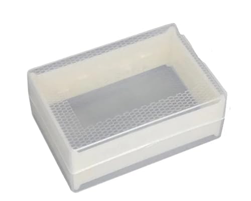 Queen Bee Cage 15pcs 500g/250g Beehive Comb Honey Box Plastic Packing Gift Bee Special for Beekeeping Supplies(250g) - color: 250g
