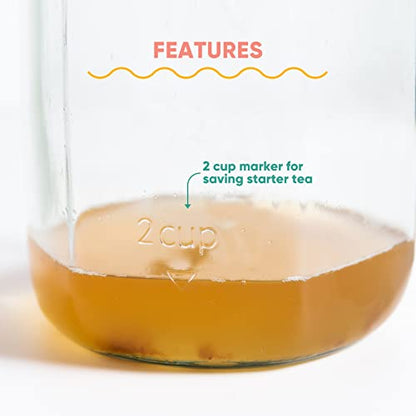 Craft A Brew Home Brewing Starter Kit Kombucha Tea Kit – Home Kombucha Kit – Fermentation Starter with Kombucha SCOBY – 1 Gallon - color: Starter Kit