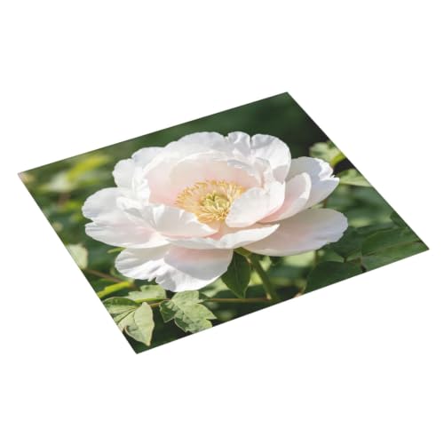 White peony Dish Drying Mat for Kitchen Counter, Absorbent Microfiber Drainer Mats, Non-slip Kitchen Draining Mat for Coffee Machine Dish Rack Pad 18"x16" Dish Drainer Pad - color: White Peony