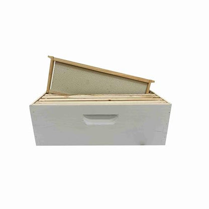 Harvest Lane Honey WWBCM-102 Medium Honey Box with frames and foundation