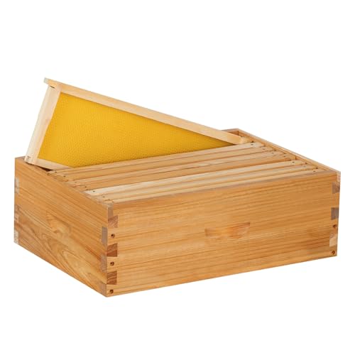 8 Frame Medium Super Box for Honey Bee Hives Beeswax Coated Langstroth Medium Bee Hive Box Includes Beehive Frames and Waxed Foundation Sheets (Unassembled) - size: 8 frame medium