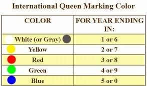 Enamel Paint Markers - MPD-15 MEDIUM - Beekeepers Combo - Permanent, Waterproof, Quick-drying (Queen Bee Marking Tones | Red, White, Blue, Green, Yellow) - color: Queen Bee Tones | Red, White, Blue, Green, Yellow