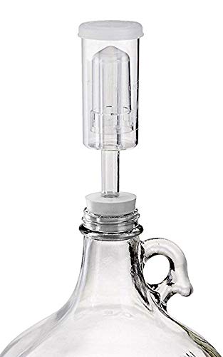 Home Brew Ohio One Gallon Glass Complete Fermenter