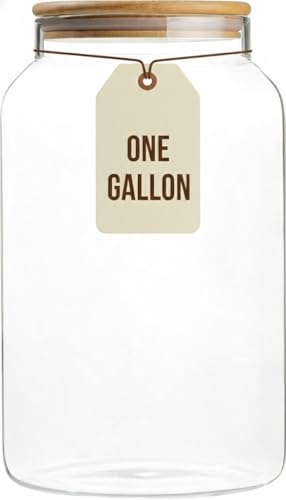 1 Gallon Glass Large Jar with Airtight Bamboo Lid - Strong Clear Borosilicate Canister for Kitchen Food Storage Organizing, Terrarium, Pantry Decorative Container & Laundry Room - Pack of 1