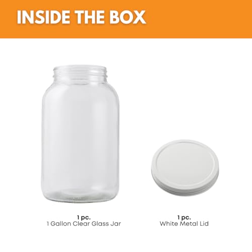 FastRack - 1 Gallon Jar with White METAL Airtight Lid | Glass Canisters with Airtight Lids | Large Glass Jar with Fermentation Lid for brewing, fermentation and pickling - size: 1 Pack