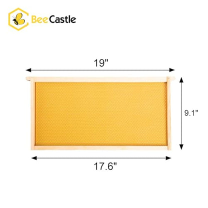 BeeCastle 10 Pack Beehive Frames and Wax Foundations for Deep Brood Bee Hives with Honeycombs Wooden Bee Hive Frames and Beeswax Coated Foundations, 9-1/8-Inch (Yellow) - size: 10-Pack
