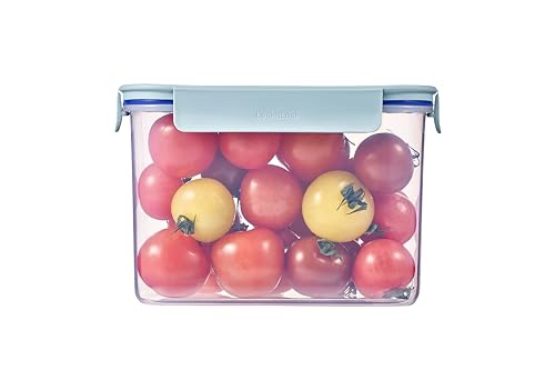 LocknLock Classic-Plus Plastic Food Storage Container | Airtight Plastic Food Storage Containers with Lids | BPA Free Stackable Food Storage for Meal Prep, Leakproof, Freezer & Dishwasher Safe, 2.75L - size: 2.75L
