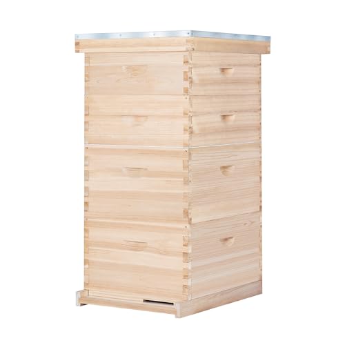 BeeCastle 10-Frame Complete Bee Hives and Supplies Starter Kit, Beehives for Beginners with Beehive Frames and Waxed Foundations (2 Deep Bee Boxes & 2 Medium Super Bee Boxes)