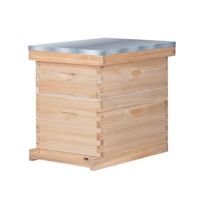 8 Frame Bee Hive, Compelte Bee Hive Starter Kit Includes 1 Deep Brood Honey Bee Hives Box, 1 Medium Super Bee Box with Beehive Frames and Foundation Sheets